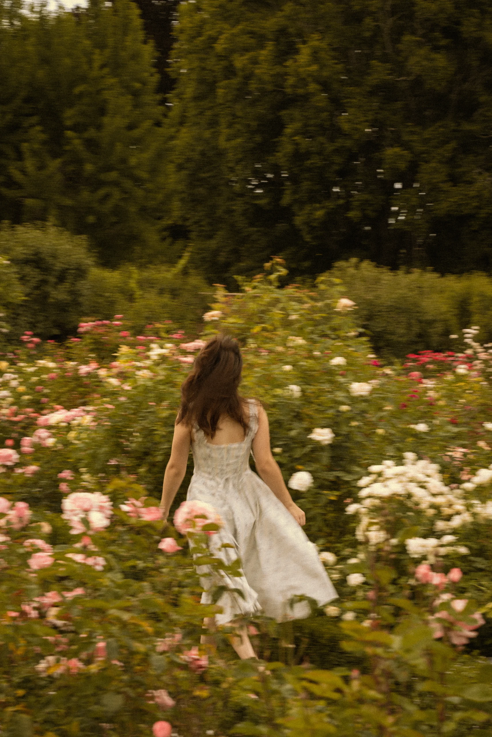 Behind the lens with Viktoriia — Volkanova.photo wedding and couples photographer, Sacramento and Bay Area