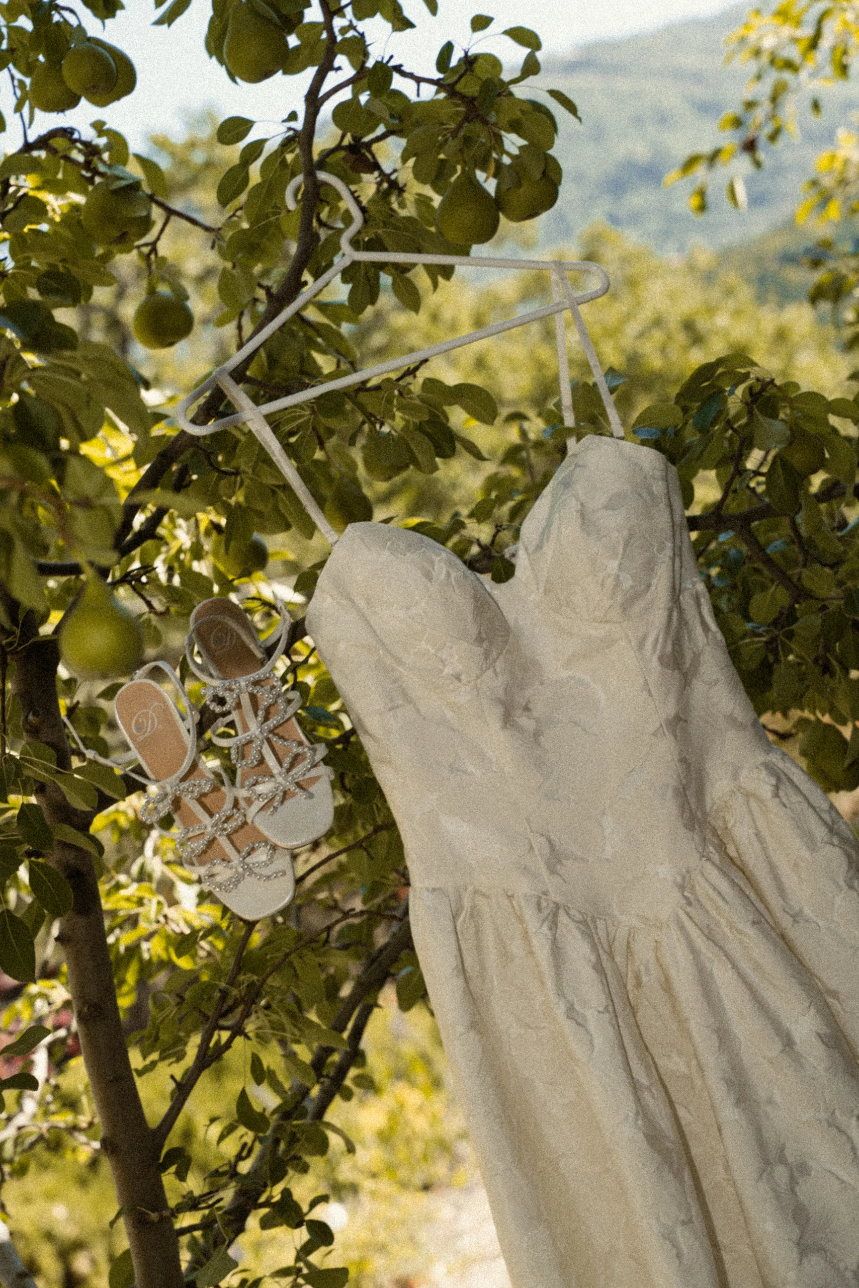 Elopement photograph by Volkanova.photo, Sacramento and Bay Area