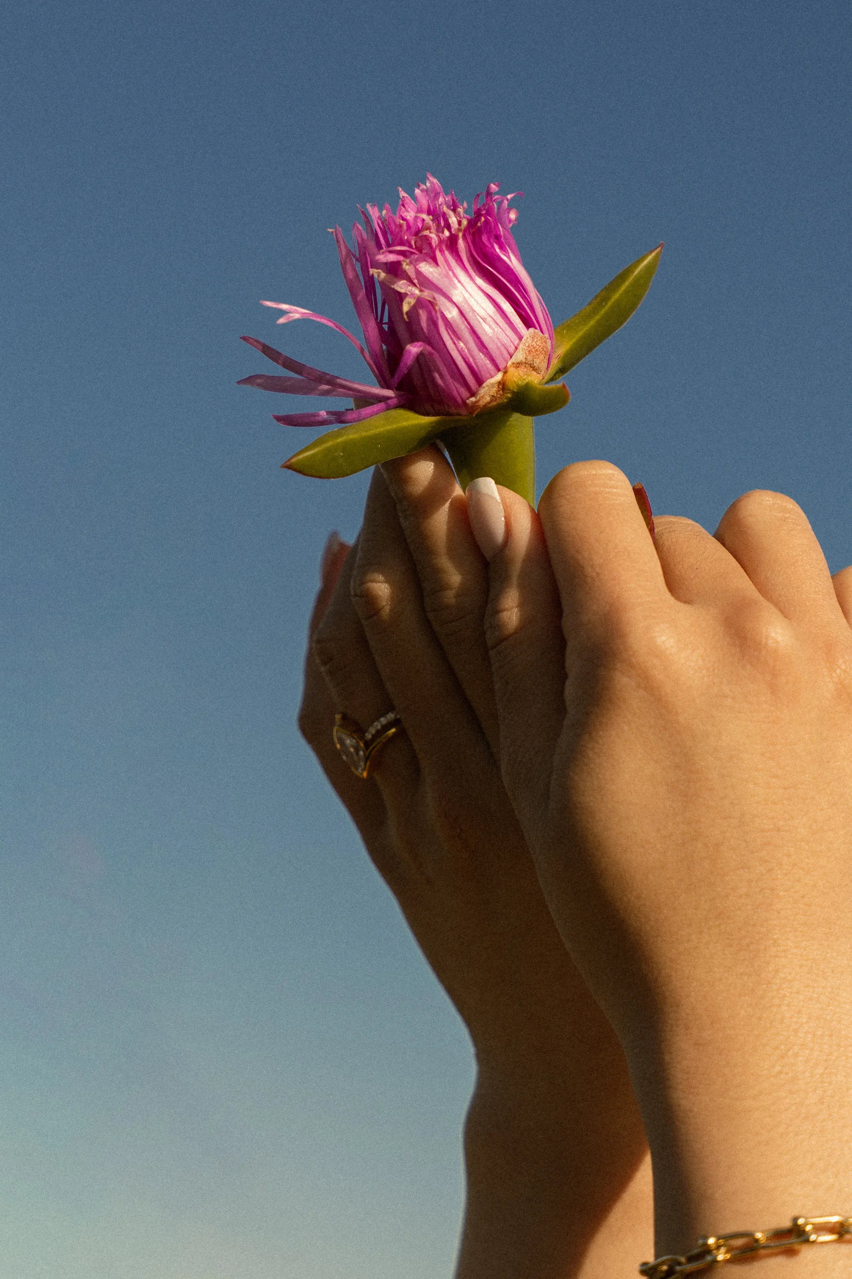 Cinematic wedding and couples photograph by Volkanova.photo, Sacramento and Bay Area
