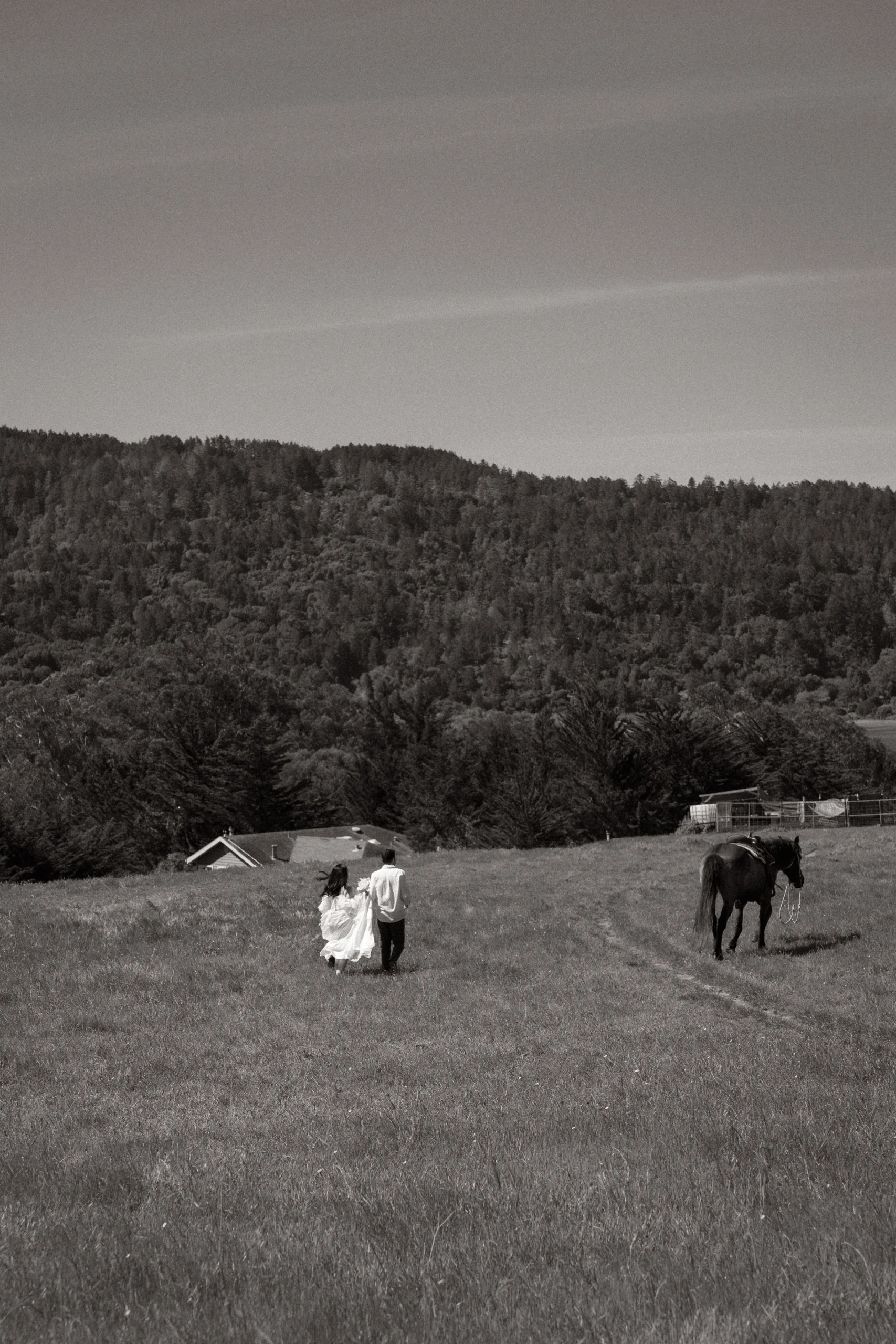 Cinematic wedding and couples photograph by Volkanova.photo, Sacramento and Bay Area